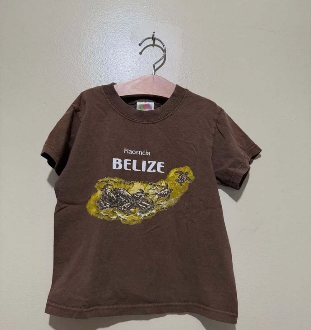 Fruit of the Loom Heavy Cotton Placencia Belize Turtle Graphic Brown Toddler T-S